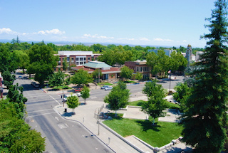 forested-city